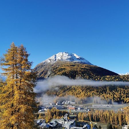 Ferienwohnung Pontresina - Chesa Andrea - Gartensitzplatz ภายนอก รูปภาพ