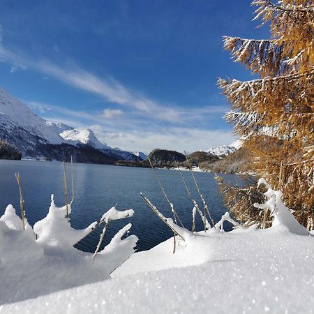 Ferienwohnung Pontresina - Chesa Andrea - Gartensitzplatz ภายนอก รูปภาพ