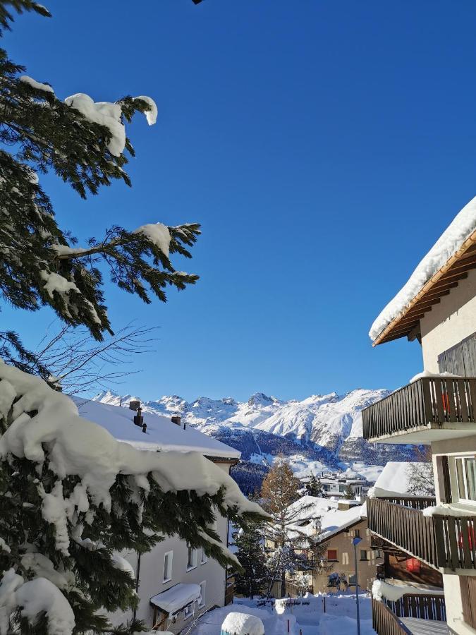 Ferienwohnung Pontresina - Chesa Andrea - Gartensitzplatz ภายนอก รูปภาพ