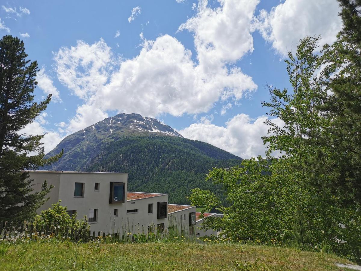 Ferienwohnung Pontresina - Chesa Andrea - Gartensitzplatz ภายนอก รูปภาพ