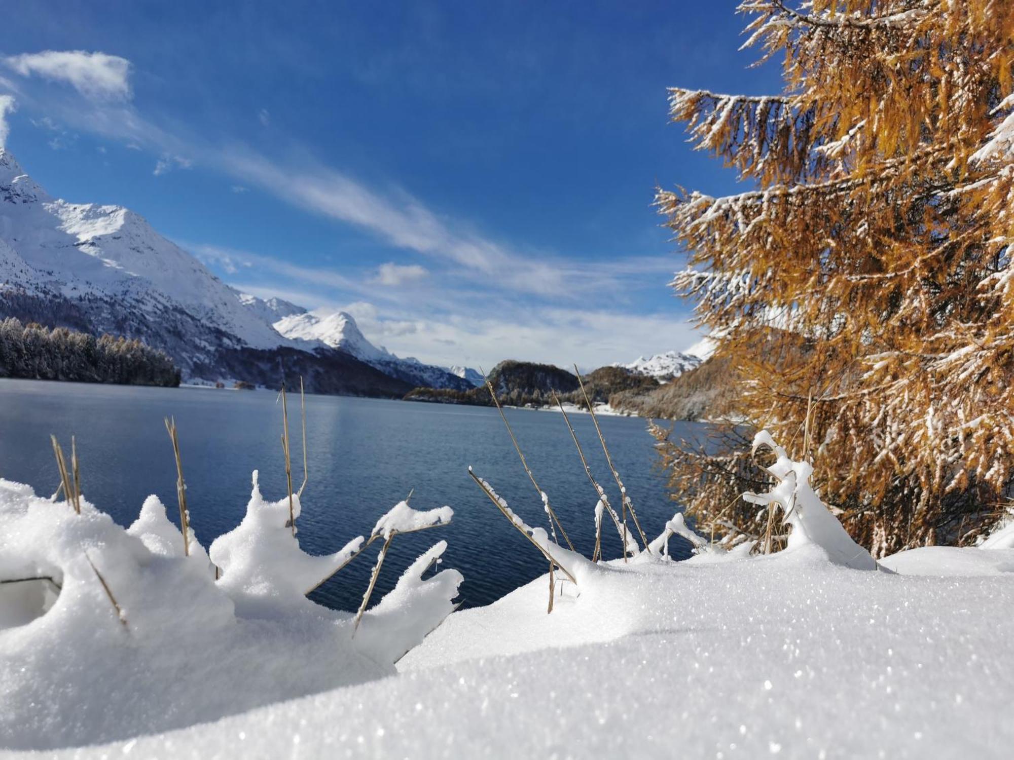 Ferienwohnung Pontresina - Chesa Andrea - Gartensitzplatz ภายนอก รูปภาพ